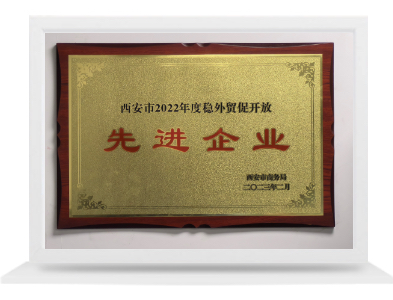 稳表促贸先进企业